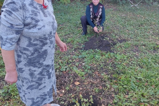 🌳 Челлендж «Аллея ветеранов-педагогов» В рамках экологической акции «Таза Қазақстан» в нашей школе прошёл челлендж «Аллея ветеранов-педагогов». Совместная посадка деревьев стала знаком уважения и благодарности педагогам, посвятившим многие годы обучению и